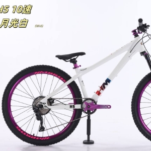 2-х Велосипед HMBROS H5 10S